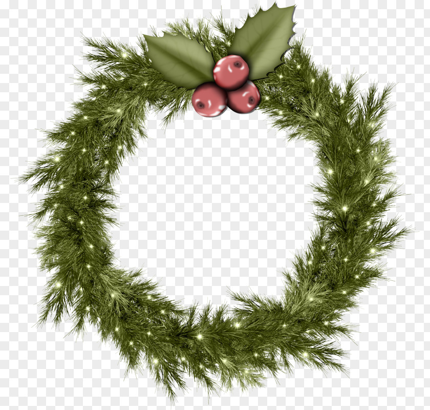 Conifer Leaf Christmas Decoration PNG