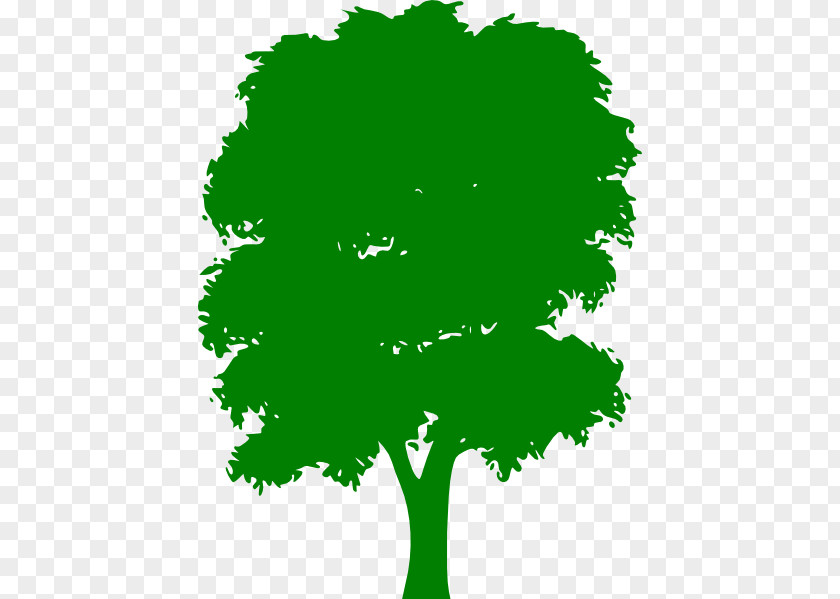 Green Tree Cliparts Clip Art PNG