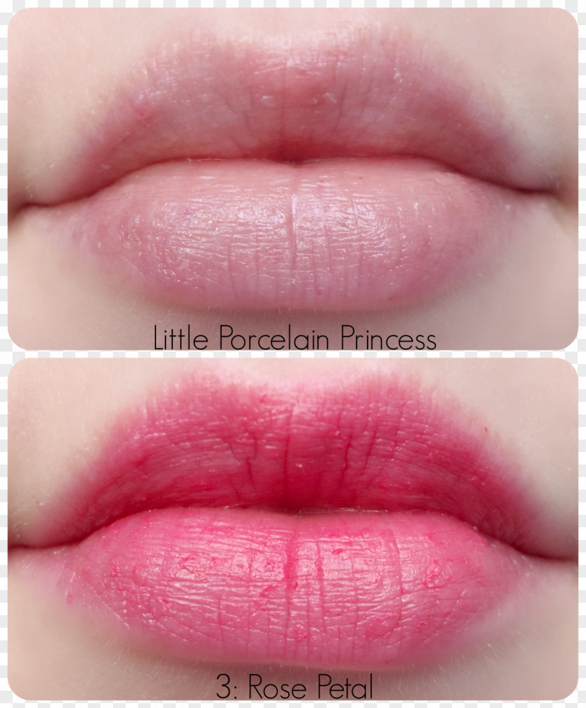 Tint Lip Stain Lipstick Gloss Rose PNG