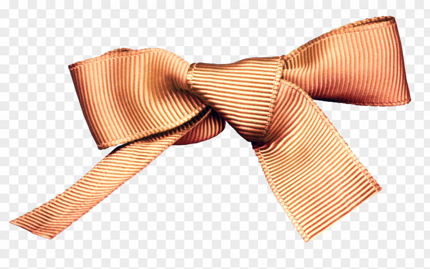 Elegant Bow Shoelace Knot Download PNG