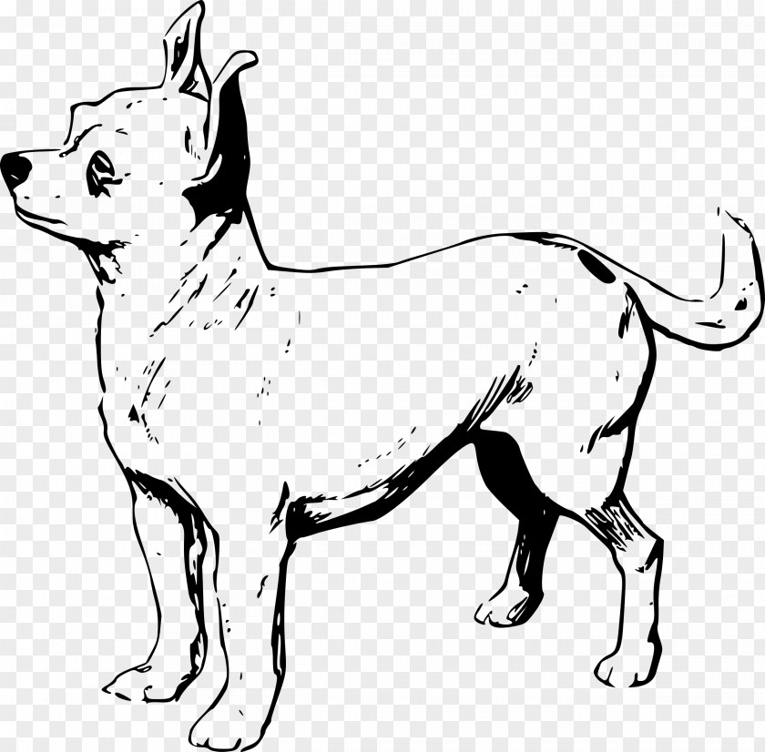 Puppy Chihuahua Beagle Line Art Clip PNG