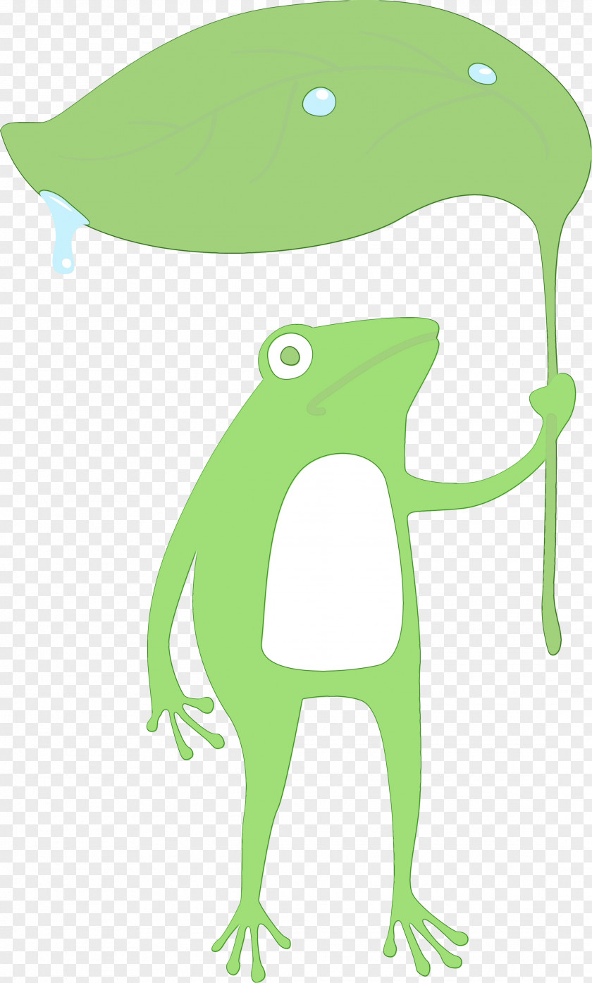 Toad Cartoon Frogs Tree Frog Leaf PNG