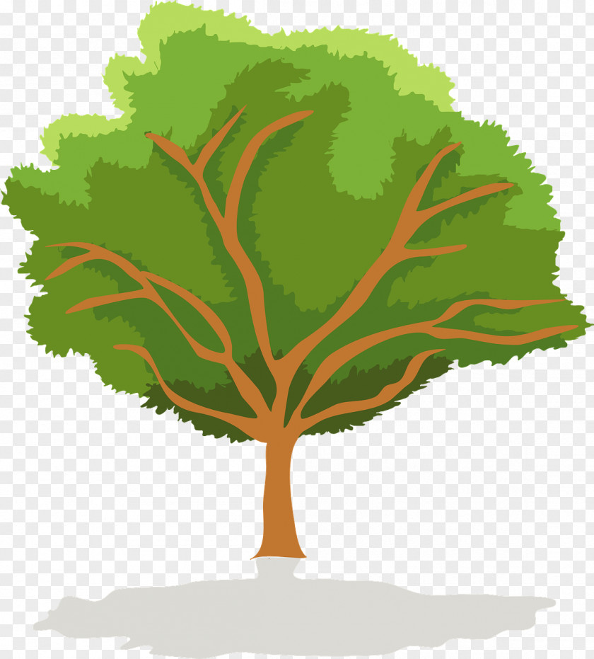 Tree Euclidean Vector Graphics Clip Art PNG