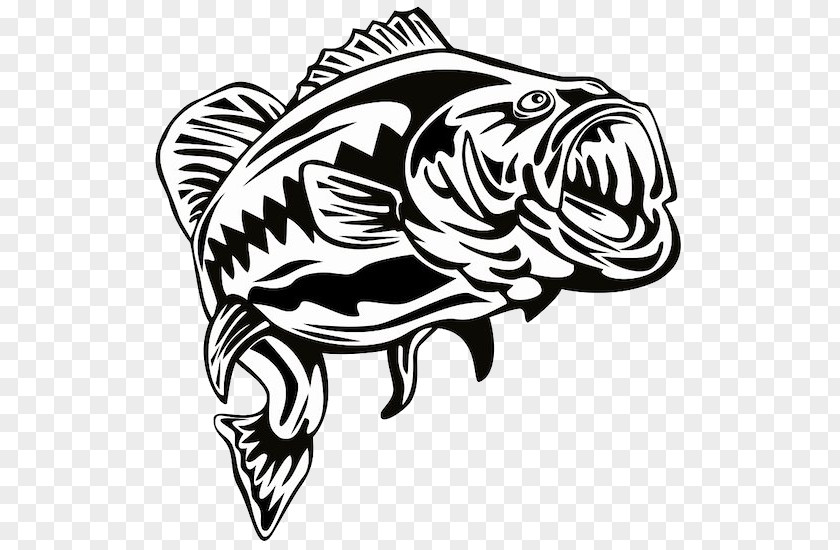 Bass Largemouth Stencil Fishing Clip Art PNG