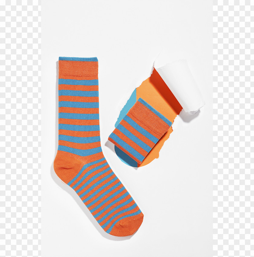 Blue Stripes Griffon Socks Brand PNG