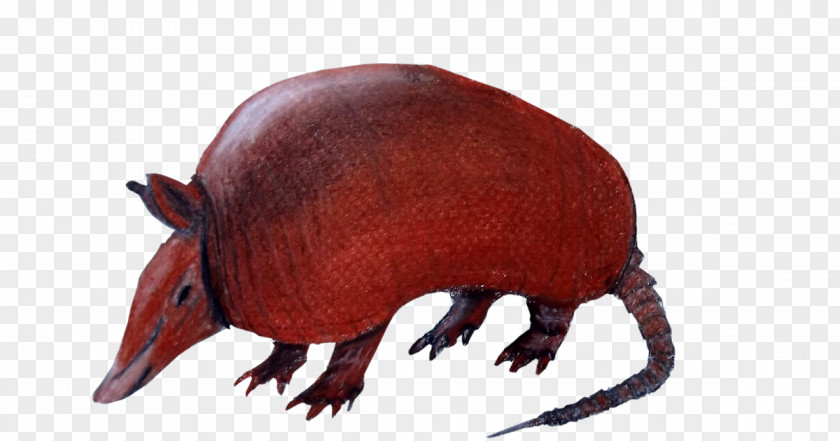 Cola Armadillo Drawing Silhouette PNG