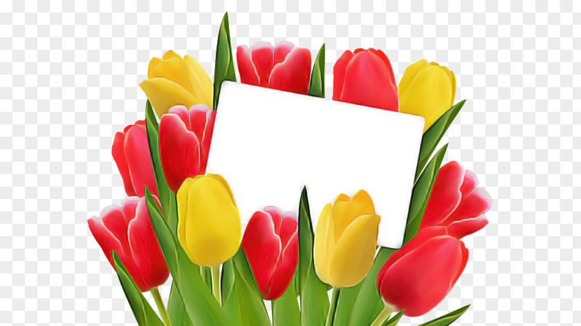 Flower Bouquet PNG