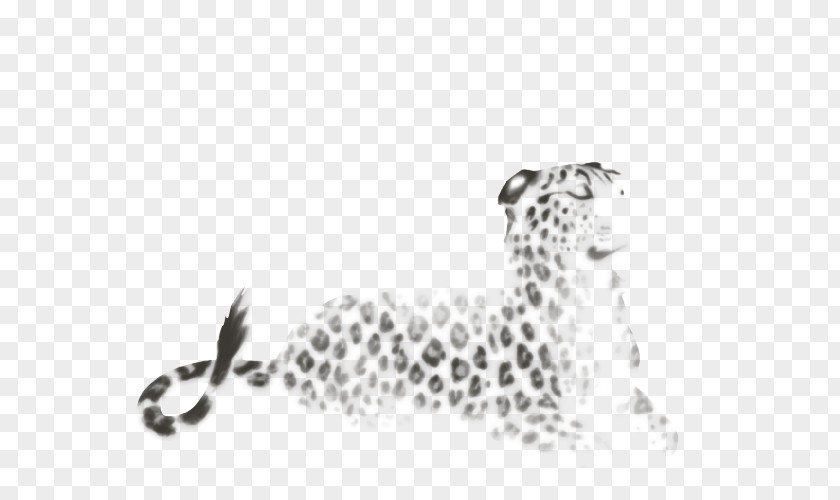 Lion Black And White Cheetah Leopard Jaguar Felidae PNG
