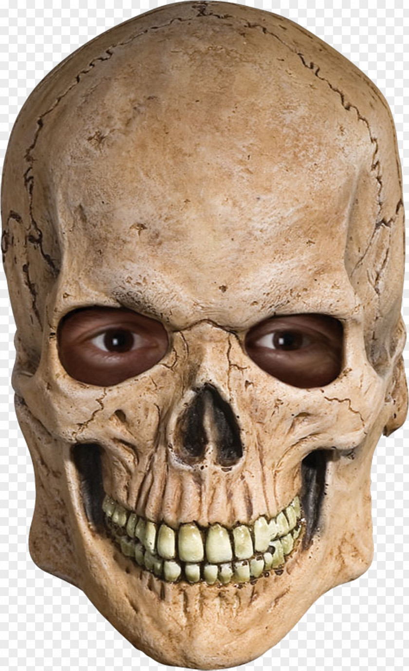 Mask Skull Human Skeleton Costume PNG