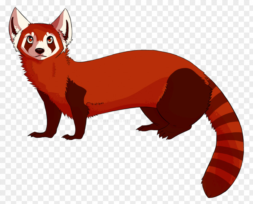 Red Fox Ferret Whiskers Snout PNG fox Snout, ferret clipart PNG