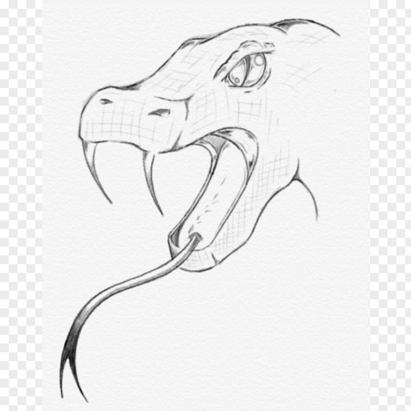 Snake Head Mammal Reptile Drawing Sketch PNG