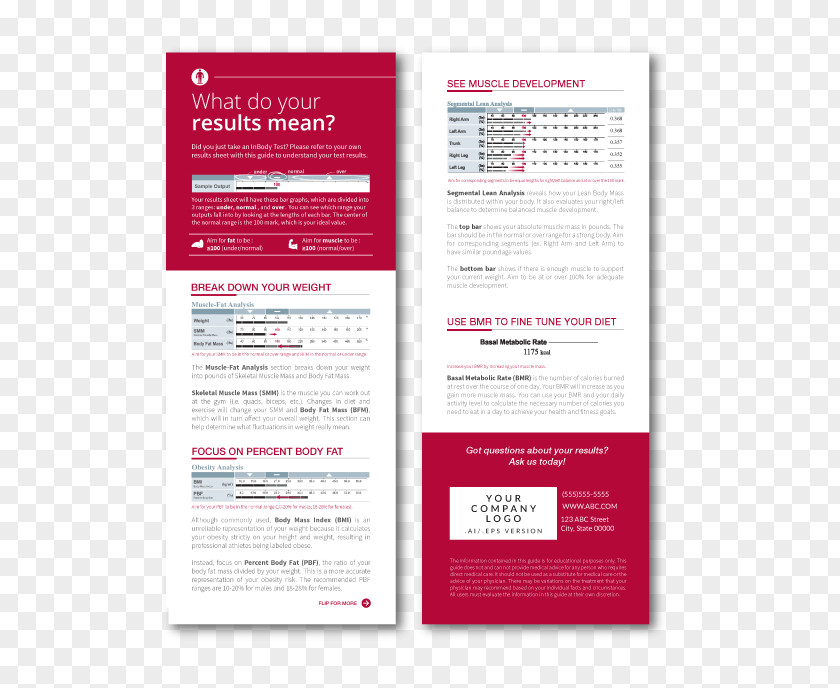 Trifold Brochures Flyer Brochure Advertising Text Age Of Colors PNG