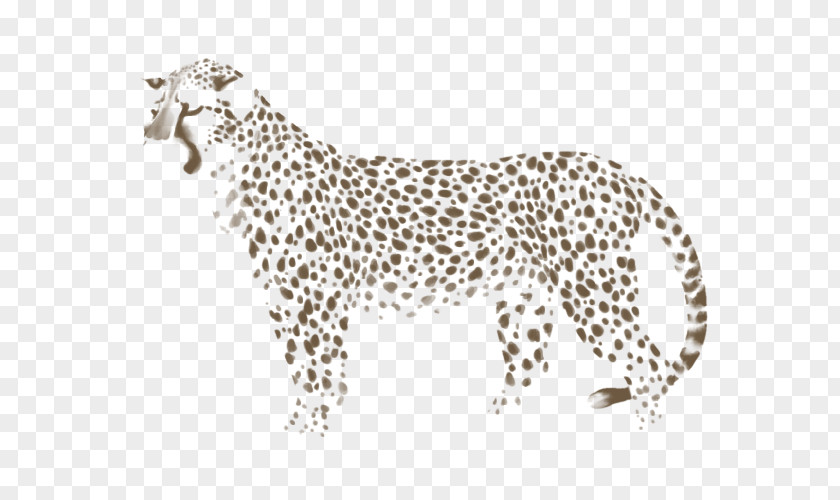 Cheetah Leopard Felidae Jaguar Cat PNG