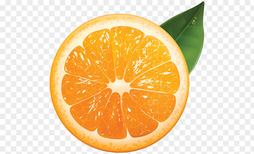 Juice Orange Grapefruit PNG