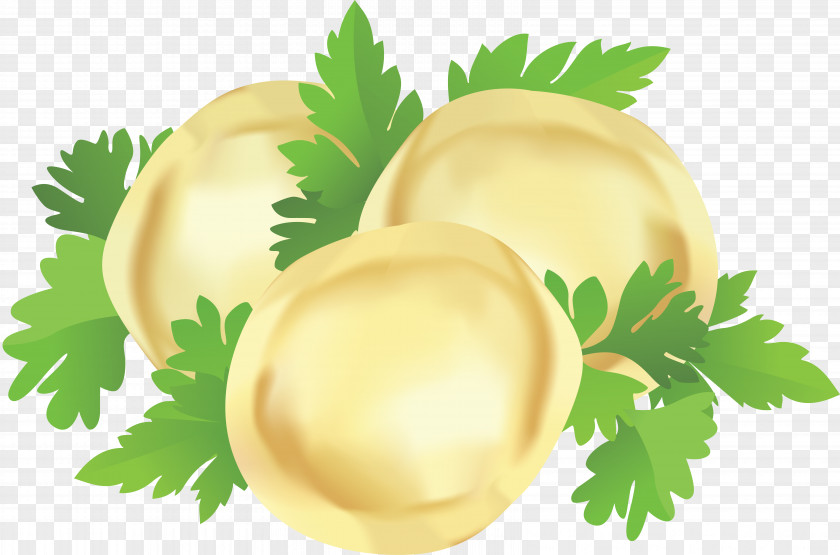 Pelmeni Vector Graphics Euclidean PNG