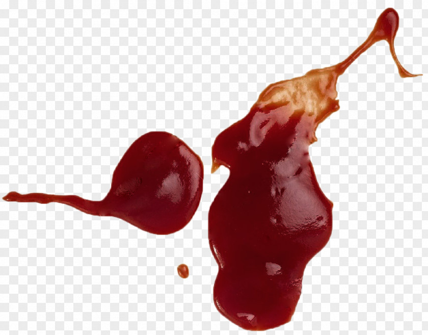 Sauce Barbecue Ketchup Stain Stock Photography PNG