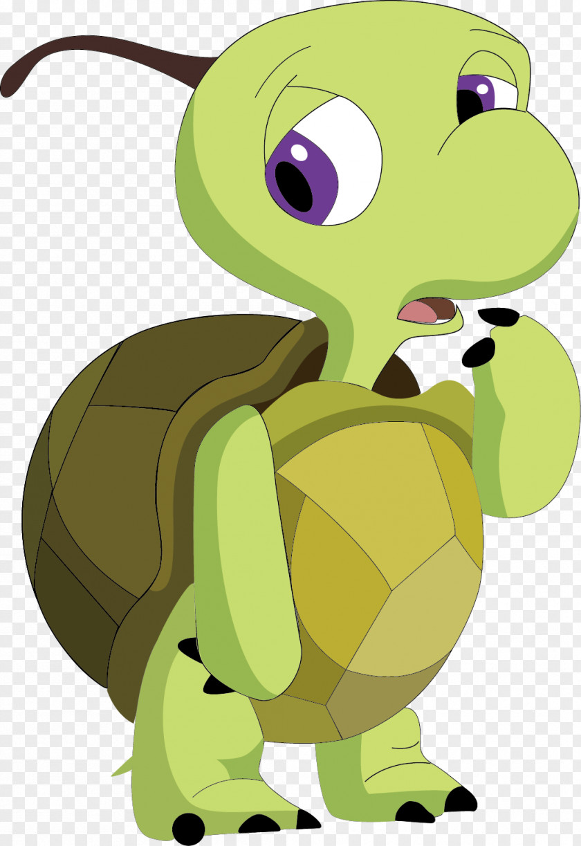 Sea Turtle Tortoise Cartoon PNG