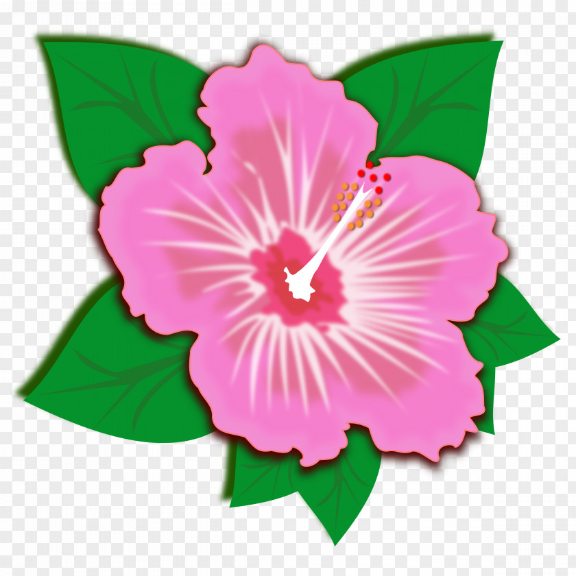 Sprin Hibiscus Clip Art PNG