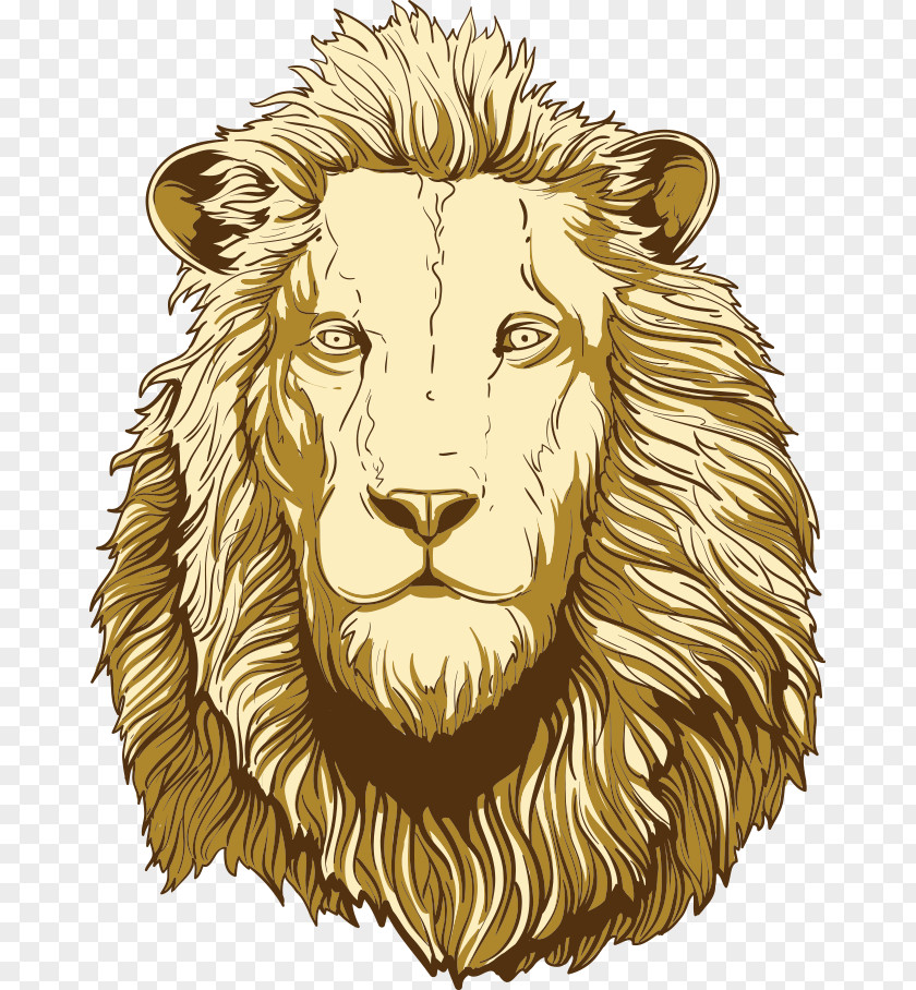 Vector Lion Head Lions Illustration PNG