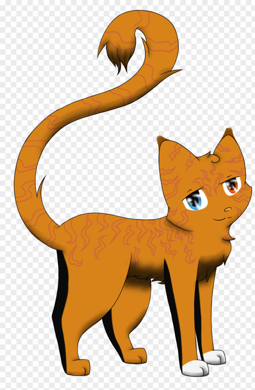 Whiskers Cat Lion Red Fox Cougar PNG fox Cougar, clipart PNG