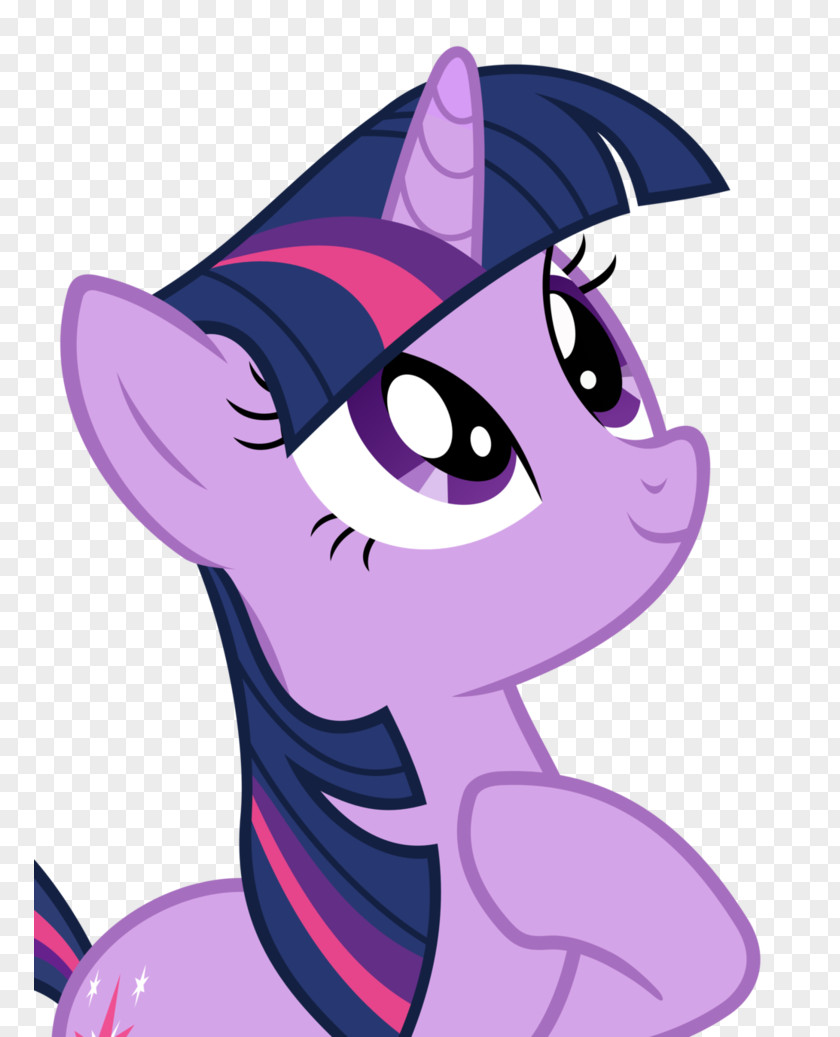 Sparkle Pony Twilight Rarity Princess Cadance The Crystal Empire PNG