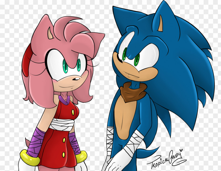 Tropical Drawings Tails Amy Rose Sonic The Hedgehog Comic DeviantArt PNG