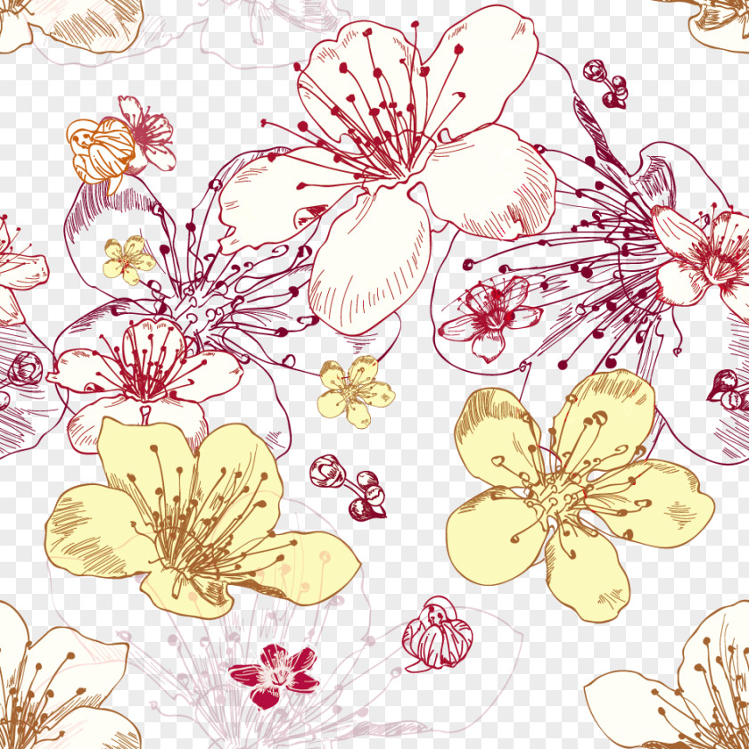 Vector Floral Illustration Flower Pattern PNG