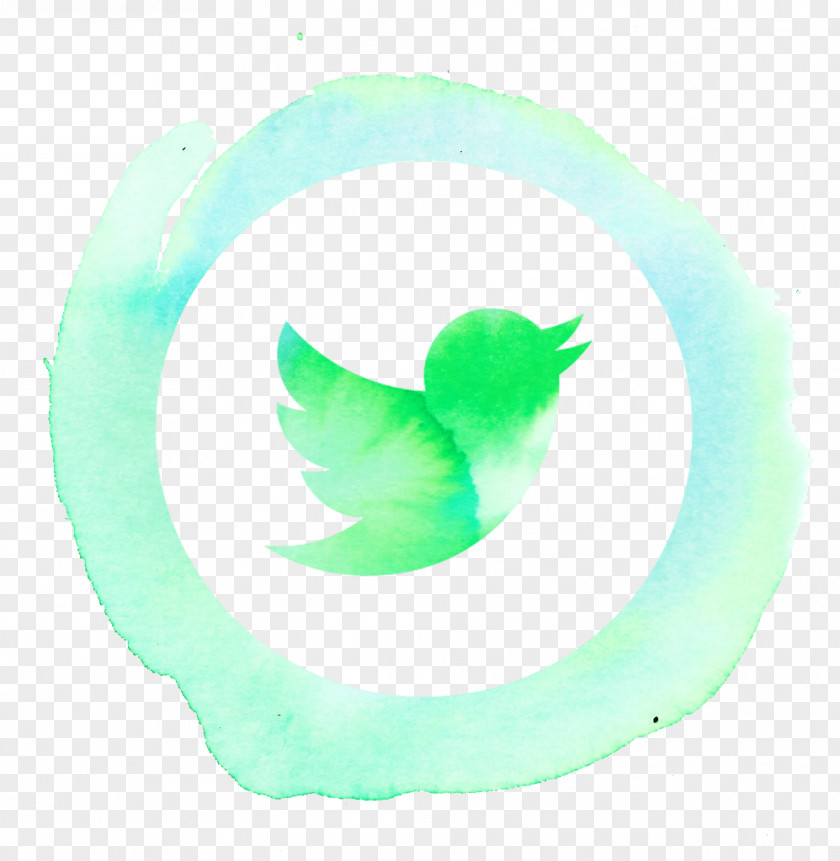 Acorn Squash Turquoise Teal Circle Leaf Font PNG