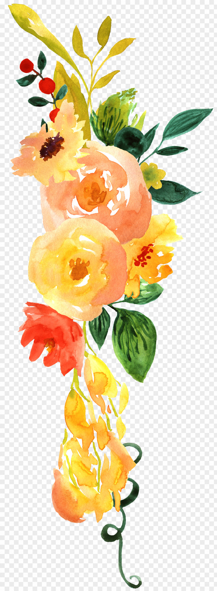 Carnations Cartoon Watercolor Painting Clip Art Image PNG
