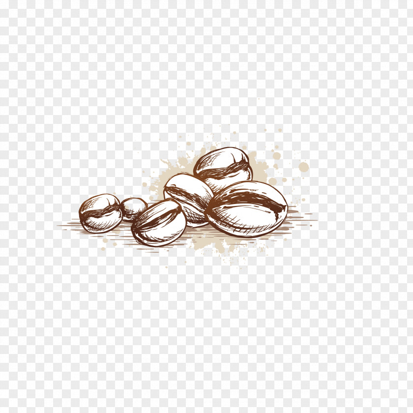 Vector Coffee Beans Cup Cafe Bean PNG
