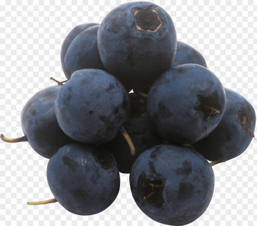 Blueberry European Bilberry Grape Huckleberry PNG