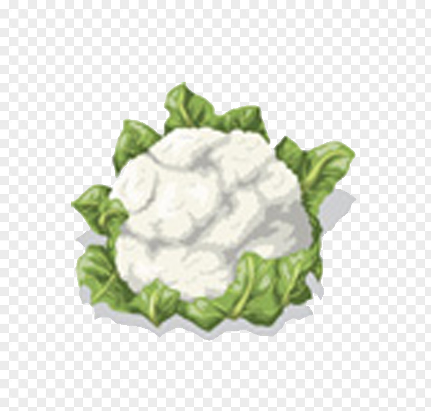 Broccoli Cauliflower Vegetable Clip Art PNG