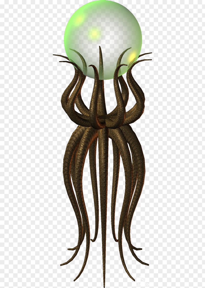 Flower Octopus Invertebrate Organism PNG