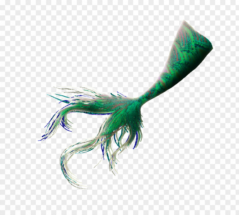 Mermaid Tail Legendary Creature Clip Art PNG