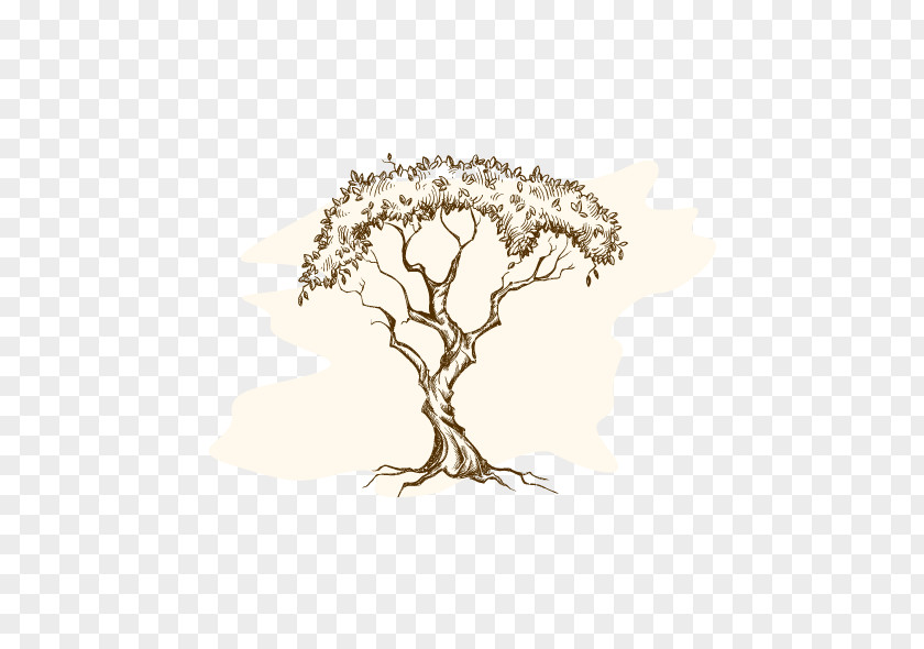 Plant Stem Flower Tree Root PNG