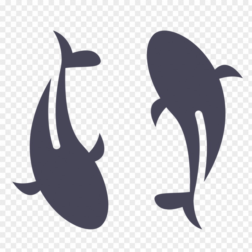 Whale Tail Pond Cartoon PNG