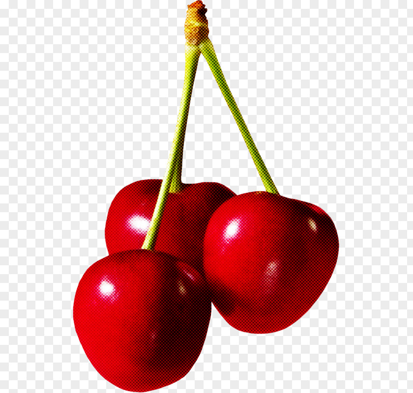 Cherry Fruit Plant Tree Currant PNG