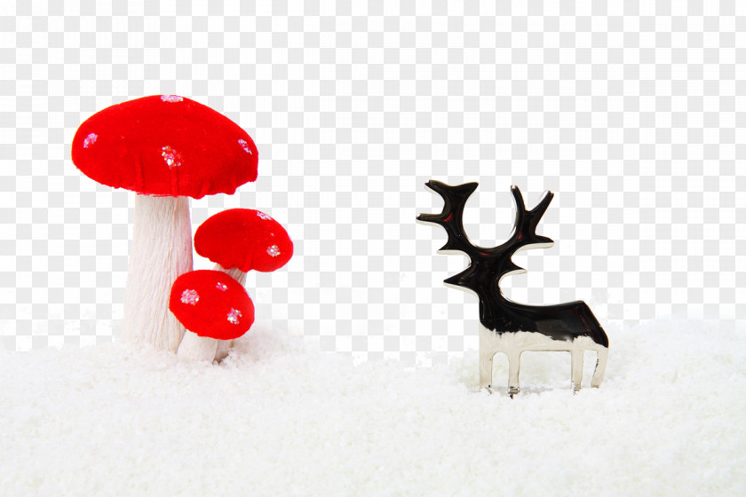 Creative Christmas Holiday Decoration Ornament Pixabay PNG