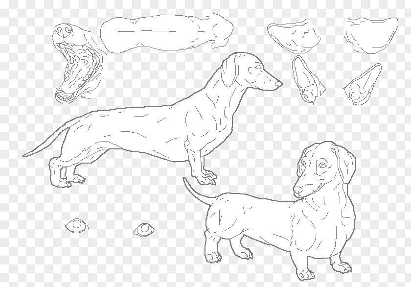 Dog Breed Line Art Sketch PNG