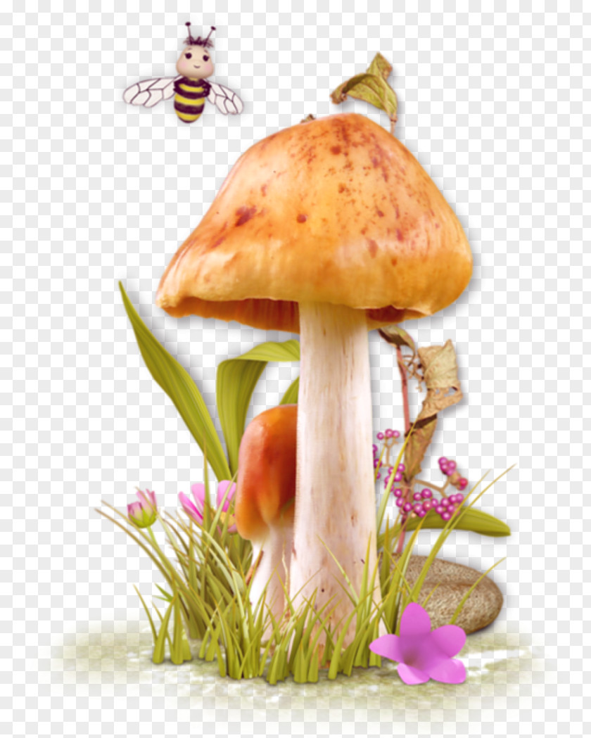 Mushroom Edible Fungus Clip Art PNG