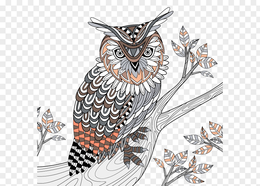 Owl Great Horned Bird Coloring Book PNG