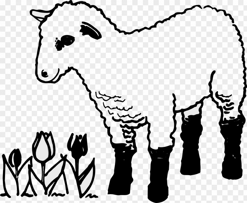 Sheep Coloring Book Child Lamb And Mutton Cattle PNG