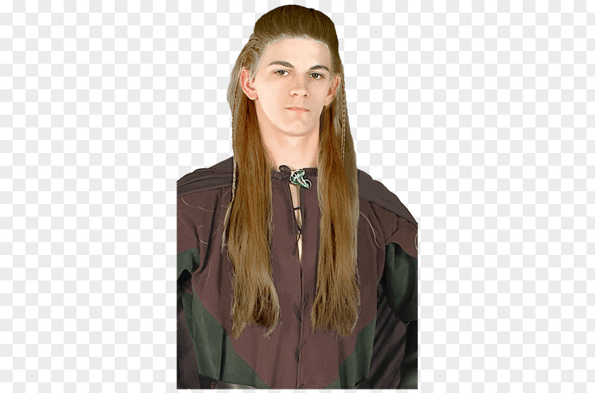 The Hobbit Legolas Frodo Baggins Lord Of Rings: Fellowship Ring Wig PNG