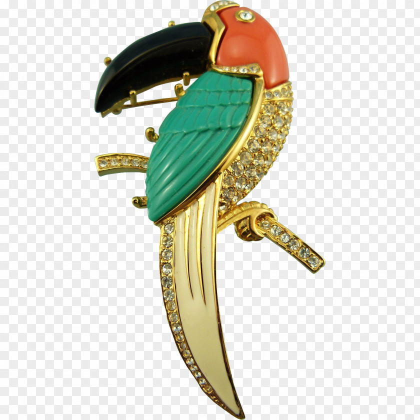 Toucan Macaw Body Jewellery Brooch PNG