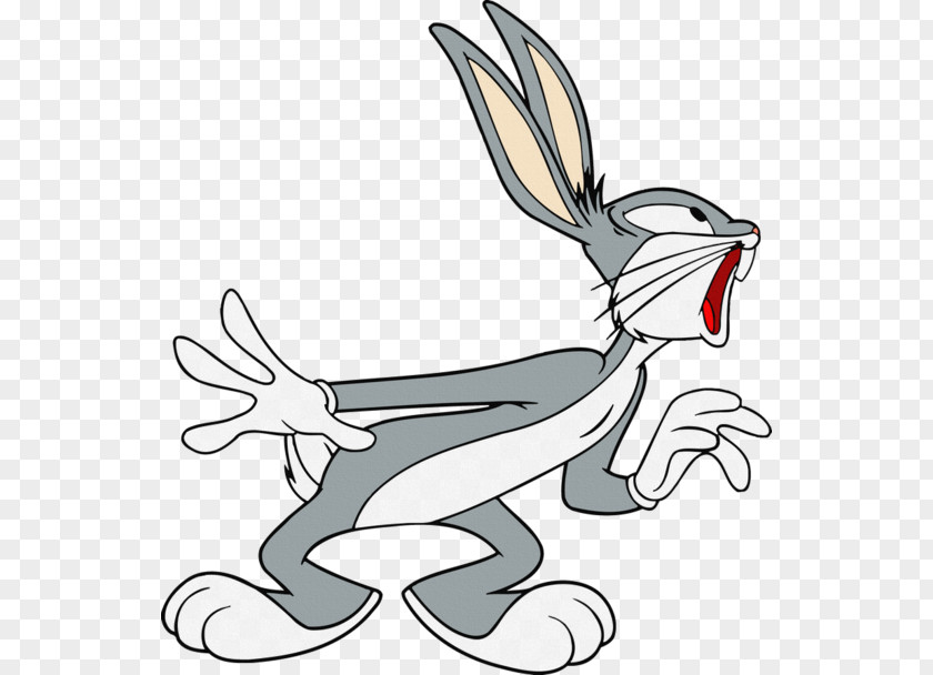Bugs Bunny Elmer Fudd Tasmanian Devil Daffy Duck Yosemite Sam PNG