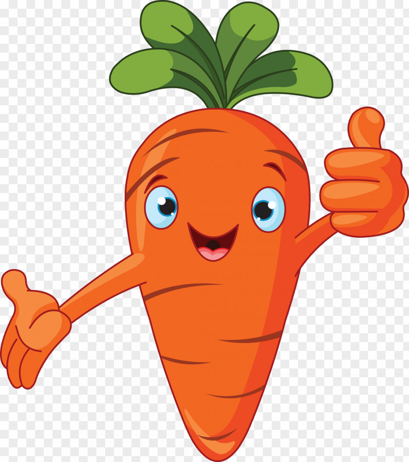 Carrot Vector Graphics Clip Art Royalty-free Image Illustration PNG