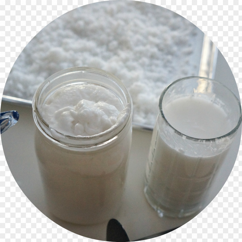 Coconut Milk Health Farm Nutrition Dairy Products Habit PNG