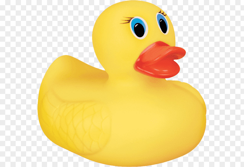 Duck Rubber Bathtub Infant Bathing PNG