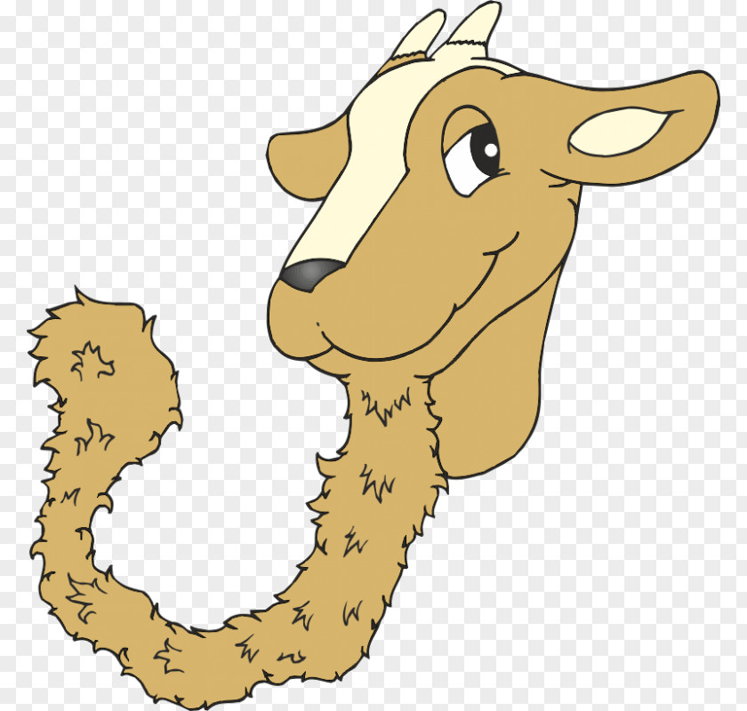 Goat Clipart Kiko Goats Clip Art PNG