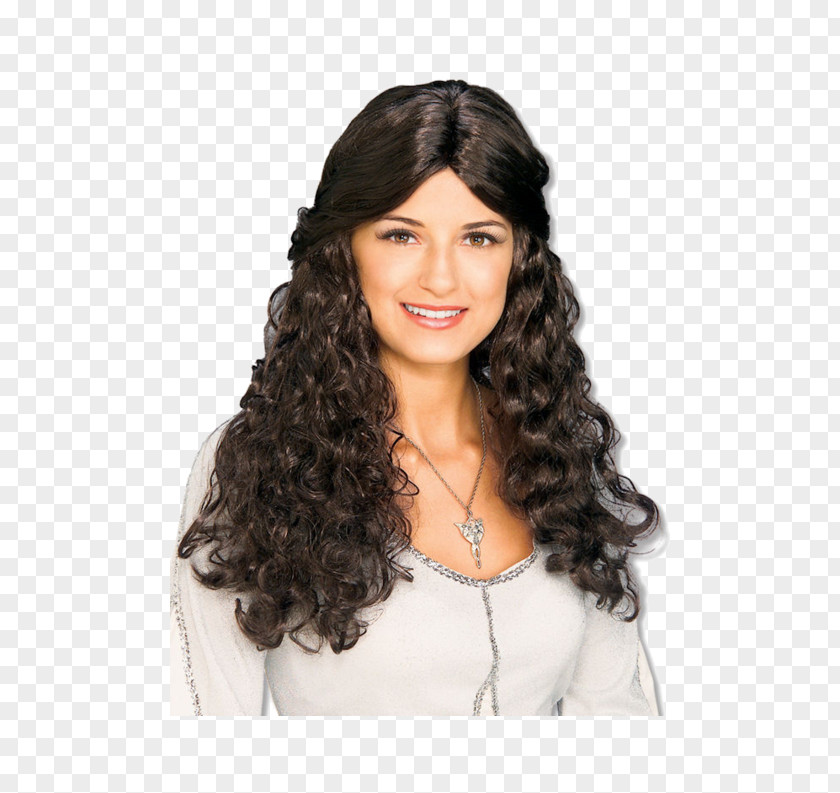 Arwen The Lord Of Rings: Fellowship Ring Gandalf Wig Costume PNG